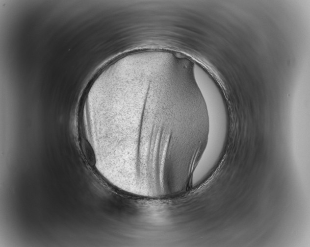 X0000087640896200705311324