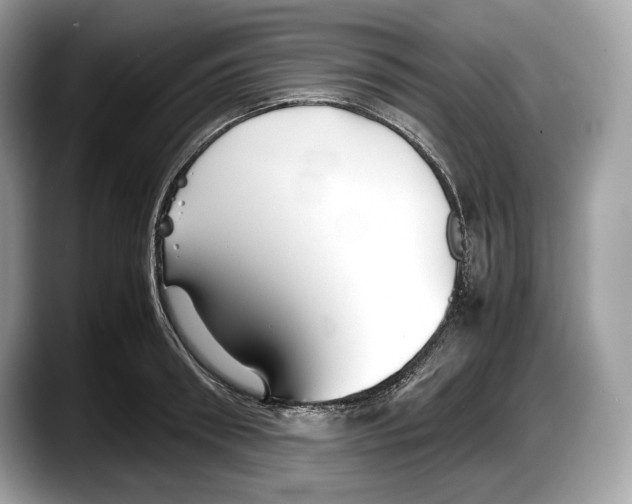 X0000087640898200705311324