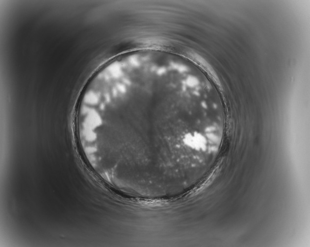 X0000087640899200705311324