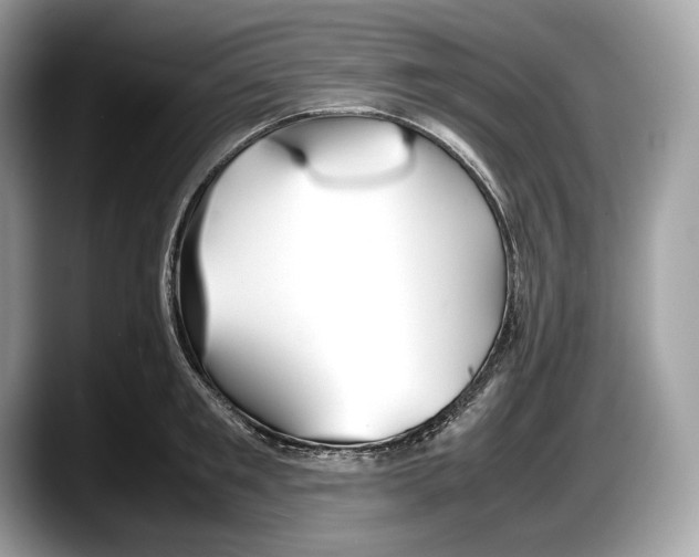 X0000087640901200705311324