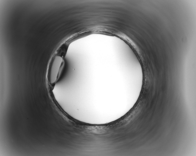 X0000087640902200705311324