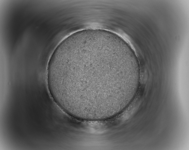 X0000087640903200705311324