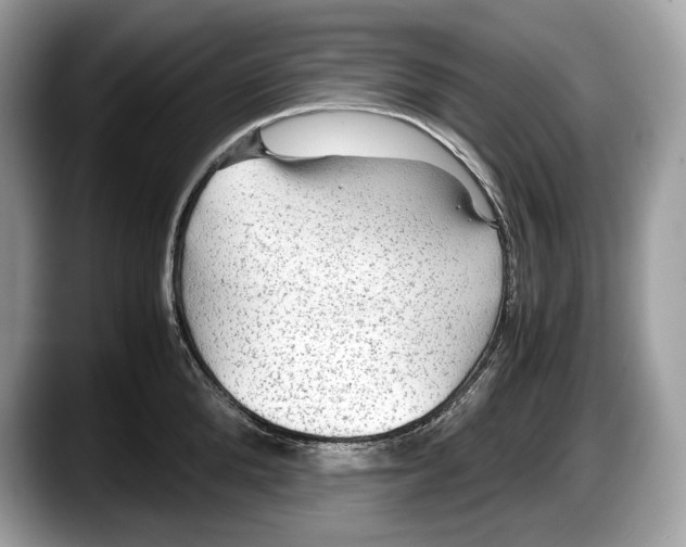 X0000087640904200705311324