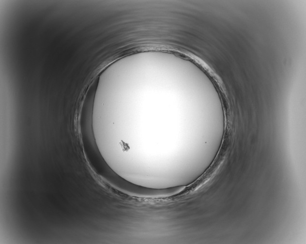 X0000087640905200705311324