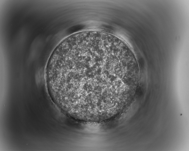 X0000087640907200705311324