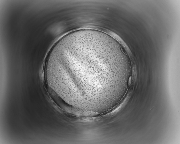 X0000087640908200705311324