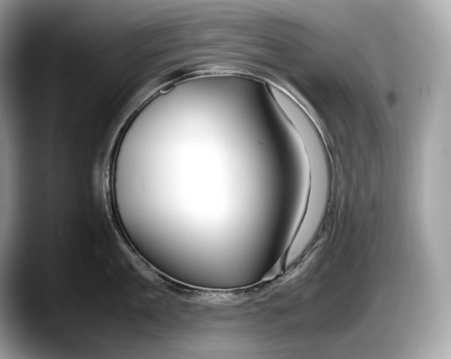 X0000087640909200705311324