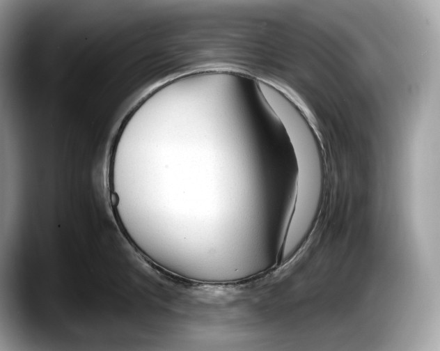 X0000087640910200705311324