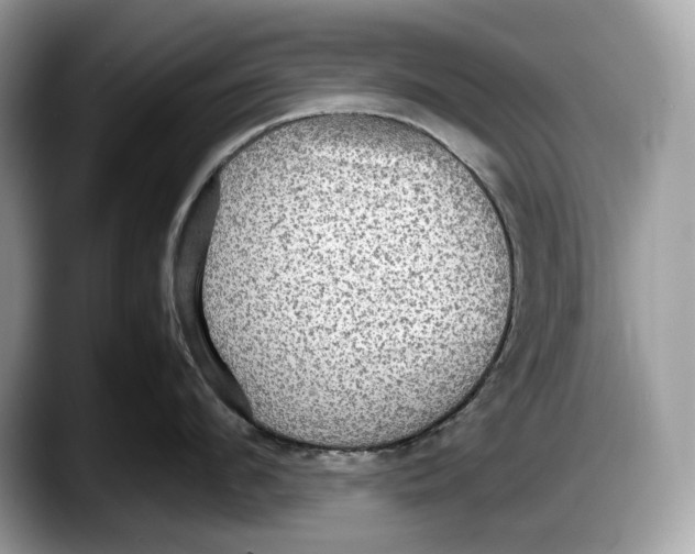 X0000087640912200705311324