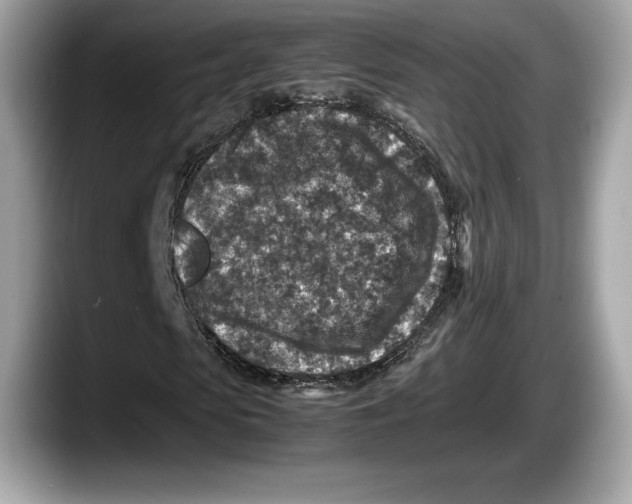 X0000087640913200705311324