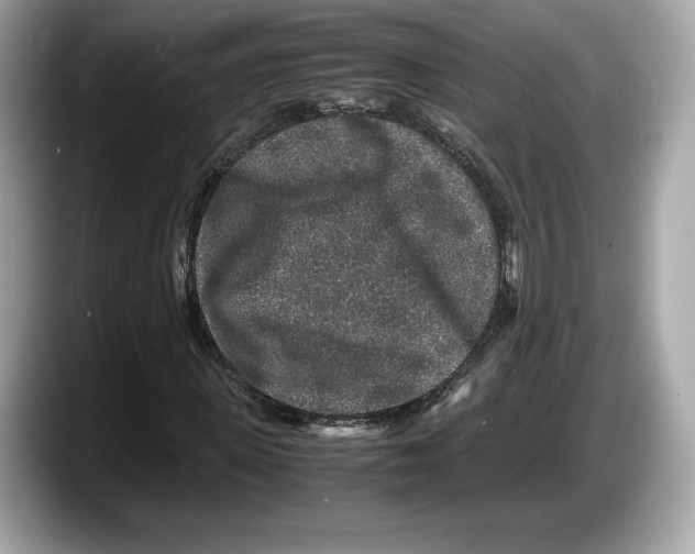 X0000087640915200705311324