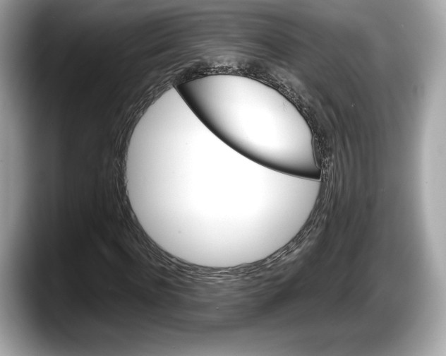 X0000087640916200705311324