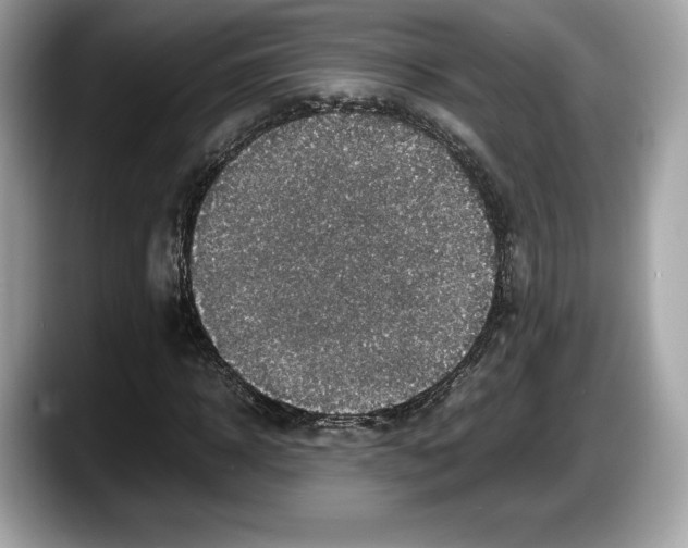 X0000087640918200705311324