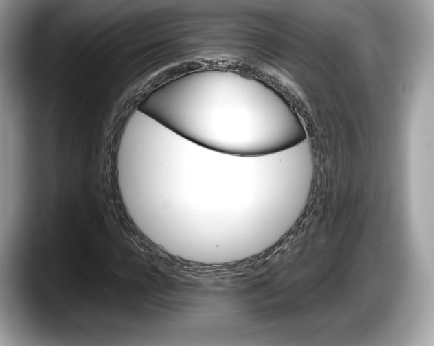 X0000087640920200705311324