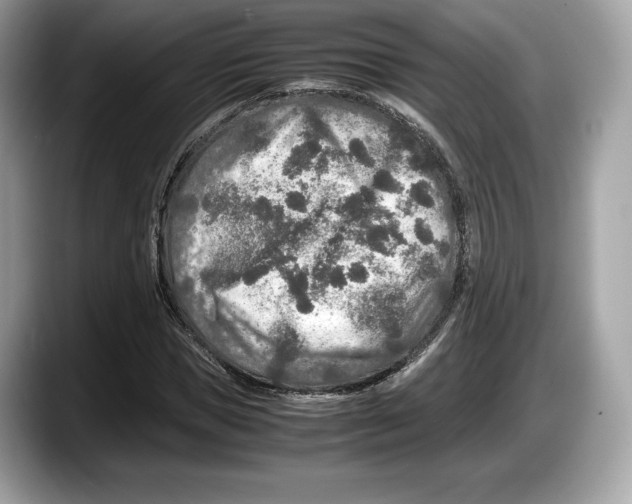 X0000087640921200705311324