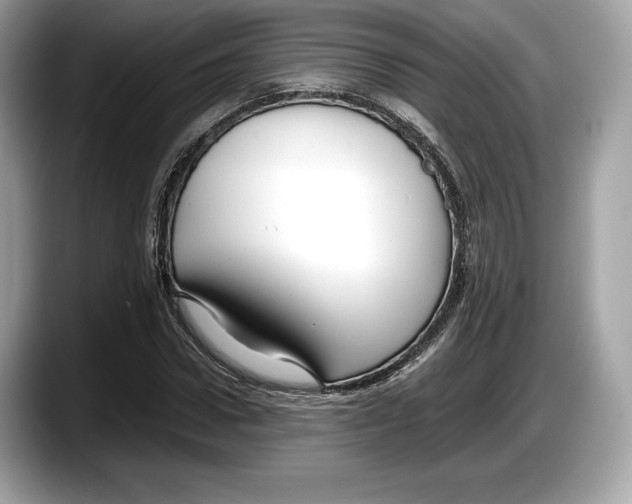 X0000087640922200705311324