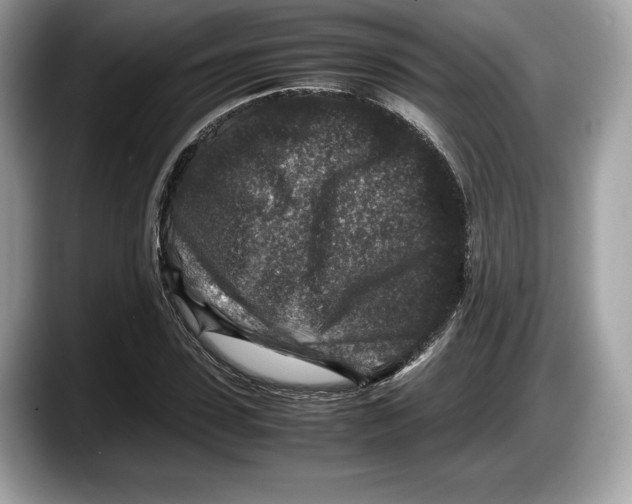 X0000087640923200705311324