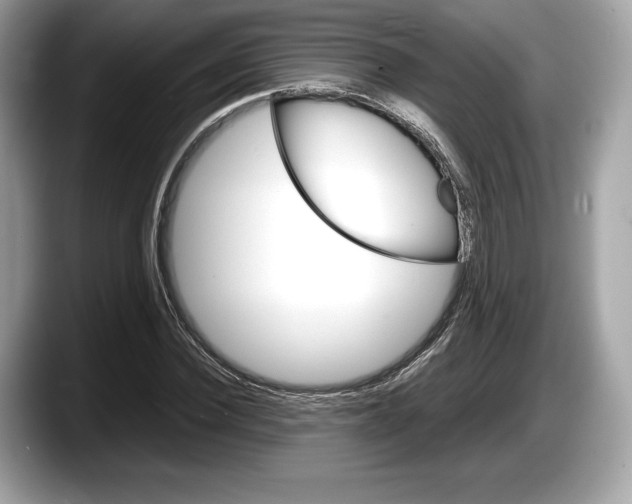 X0000087640924200705311324