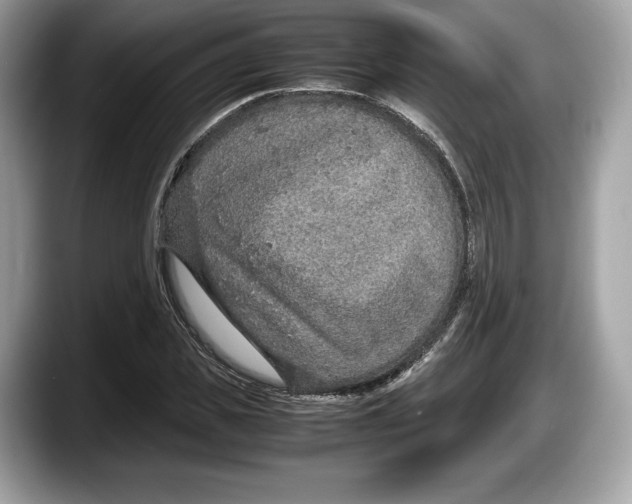 X0000087640925200705311324