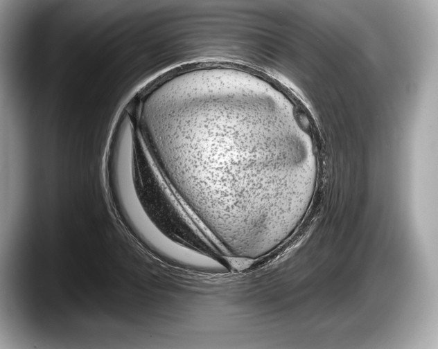 X0000087640928200705311324