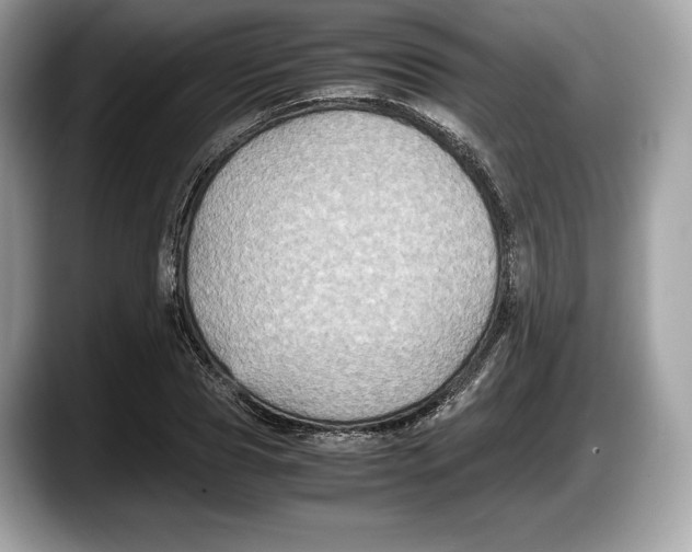 X0000087640929200705311324