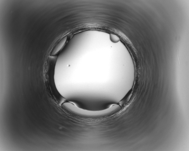 X0000087640930200705311324