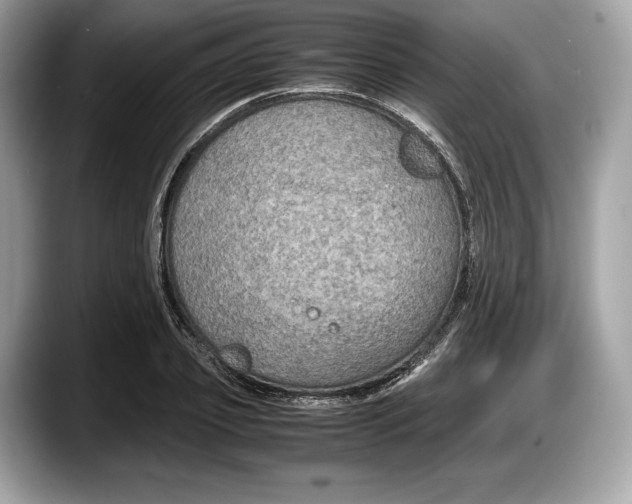 X0000087640933200705311324