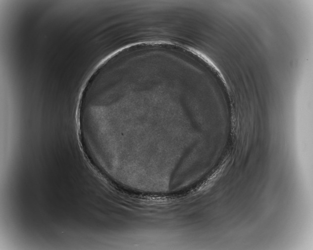 X0000087640935200705311324