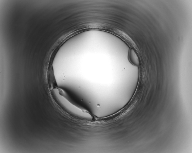 X0000087640938200705311324