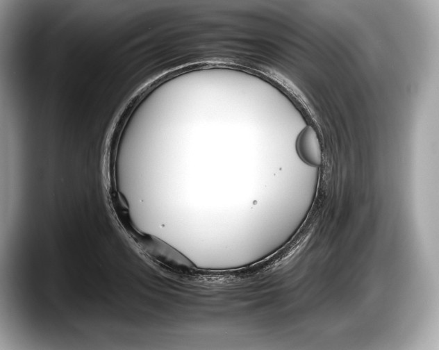 X0000087640939200705311324