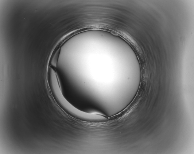 X0000087640940200705311324