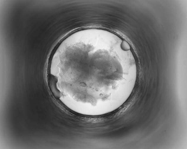 X0000087640941200705311324