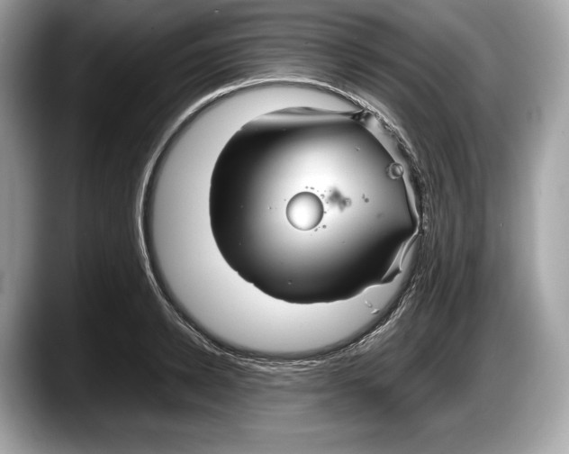 X0000087640942200705311324