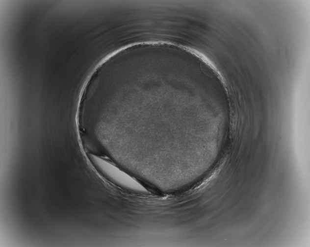 X0000087640943200705311324