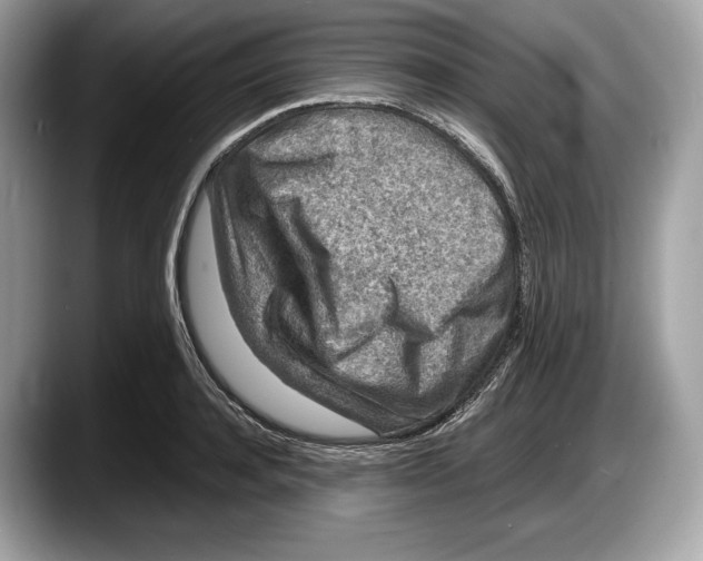 X0000087640944200705311324