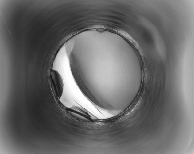 X0000087640945200705311324