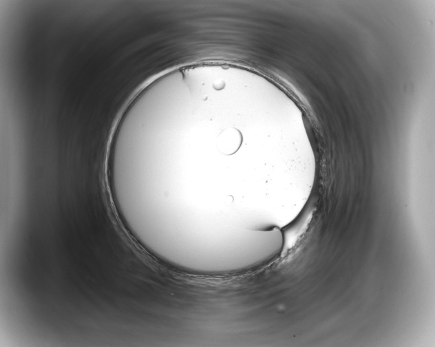 X0000087640948200705311324