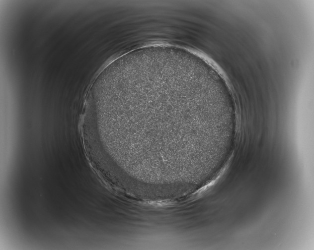 X0000087640953200705311324