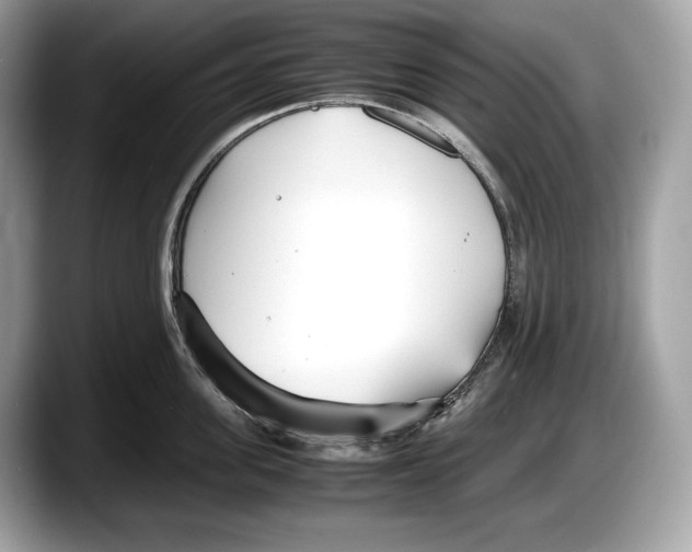 X0000087640955200705311324