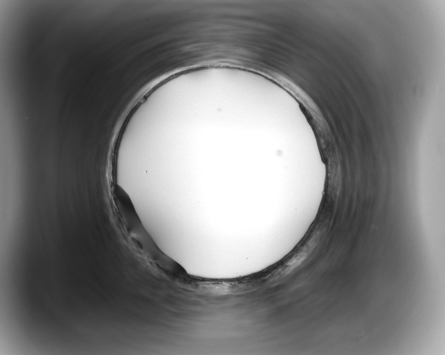 X0000087640956200705311324