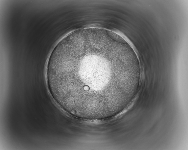 X0000087640957200705311324