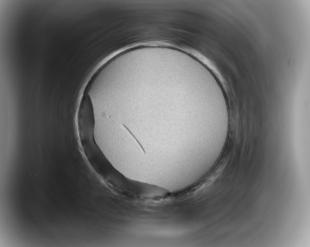 X0000087640959200705311324