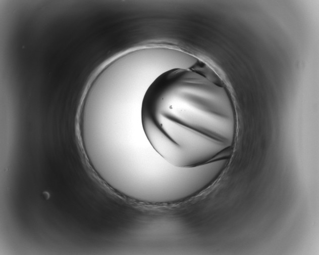 X0000087640960200705311324