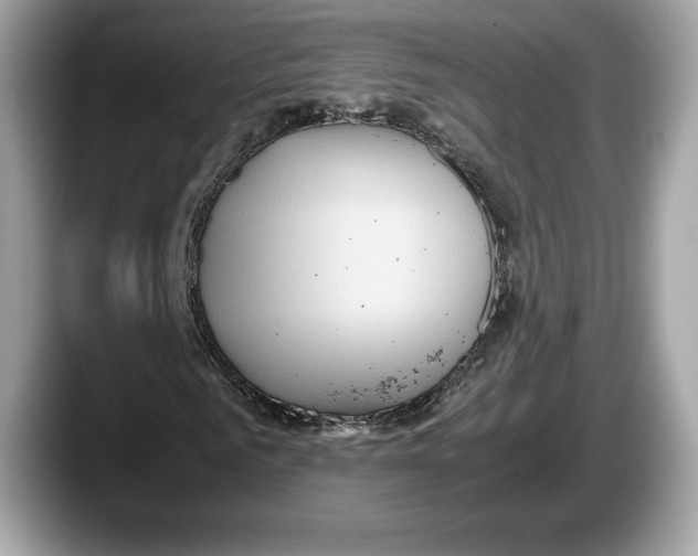 X0000087640961200705311324