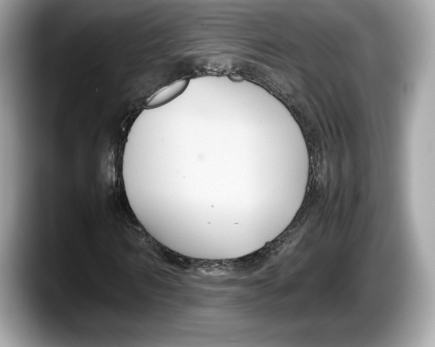 X0000087640962200705311324