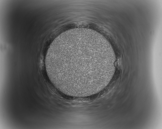 X0000087640963200705311324