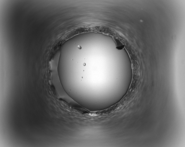 X0000087640965200705311324