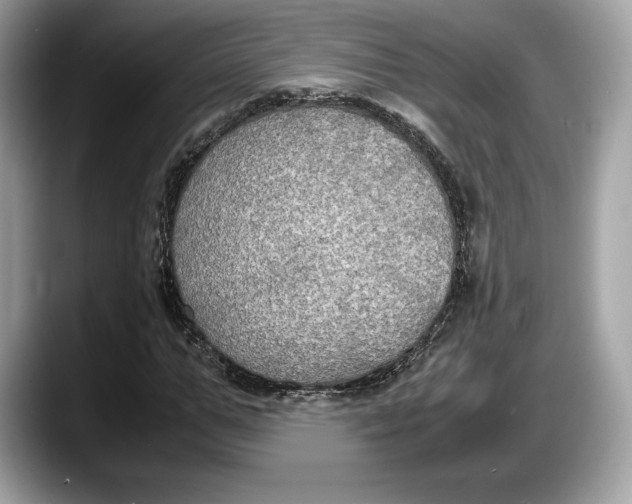 X0000087640967200705311324