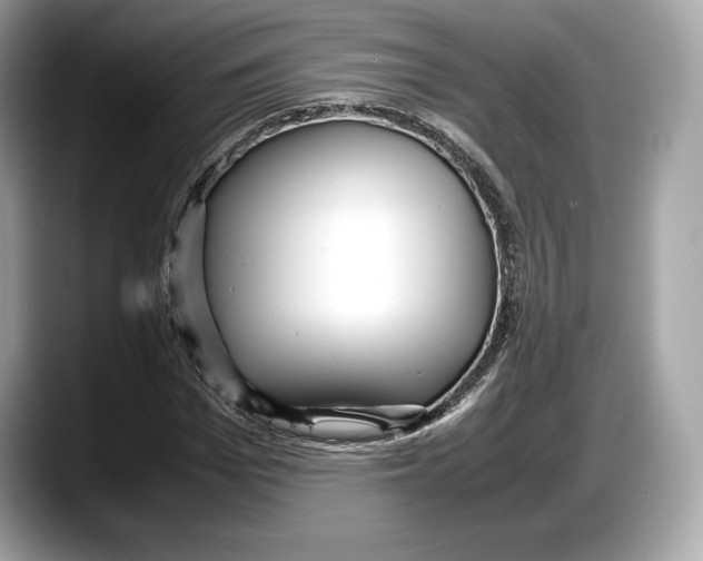 X0000087640969200705311324