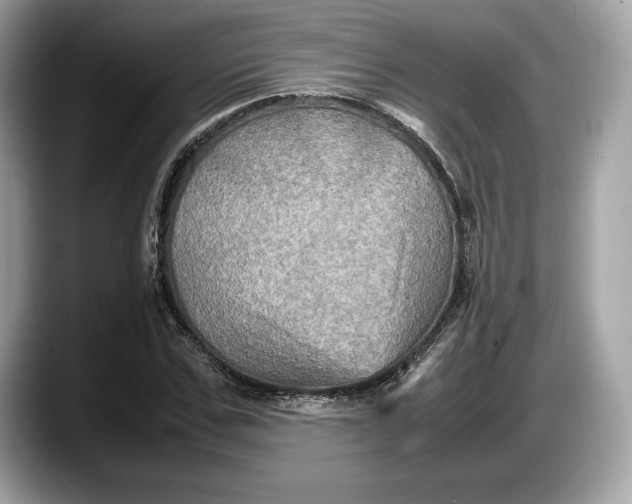 X0000087640971200705311324